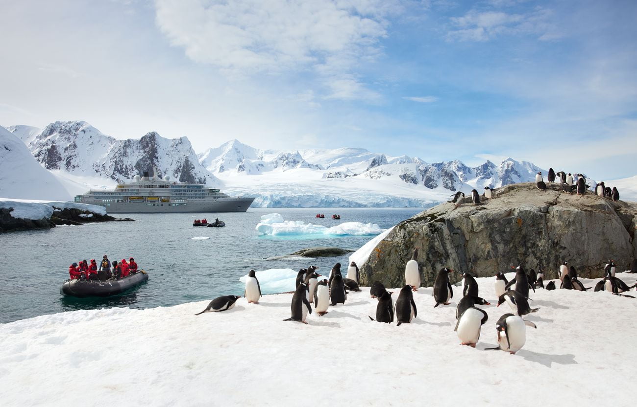 Silver Endeavour near a penguin colony on the Antarctic Peninsula
