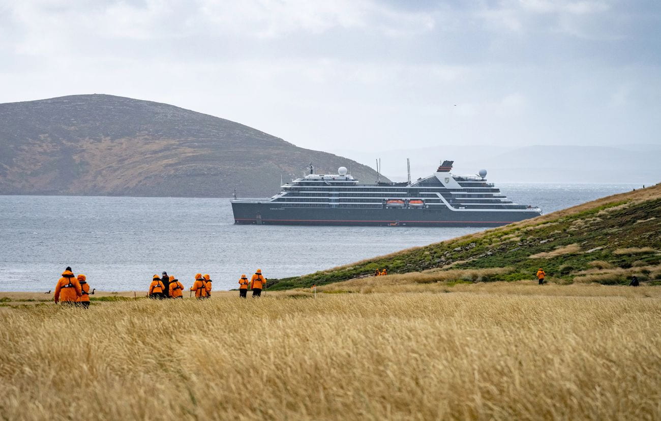 Expedition guests walking across New Island in the Falkland Islands