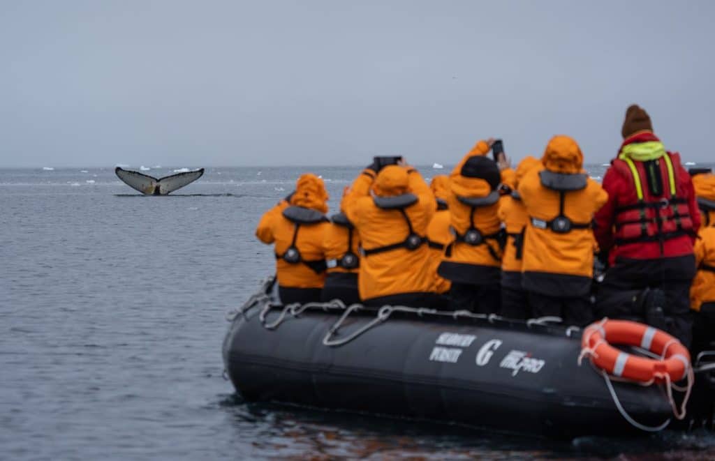 Guests watching for whales during an Antarctic excursion