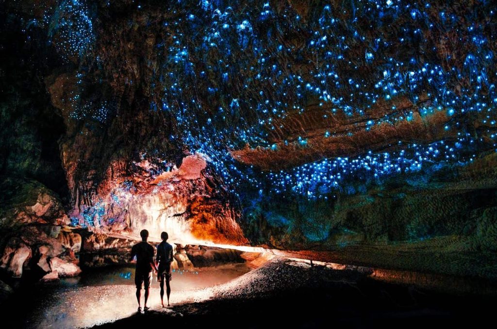 Blue glowworms illuminating the ceiling inside Waitomo Caves in New Zealand